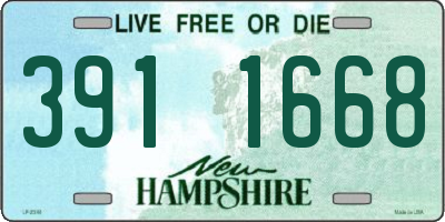 NH license plate 3911668
