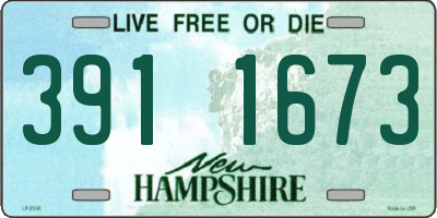 NH license plate 3911673