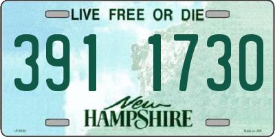 NH license plate 3911730
