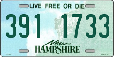 NH license plate 3911733