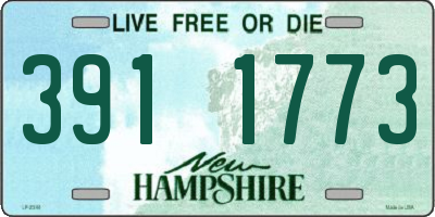 NH license plate 3911773