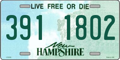 NH license plate 3911802