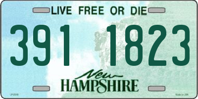 NH license plate 3911823