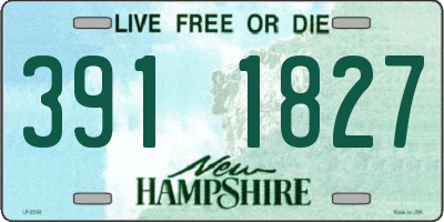 NH license plate 3911827