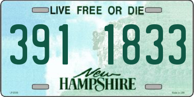 NH license plate 3911833