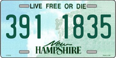 NH license plate 3911835