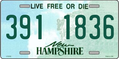 NH license plate 3911836