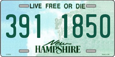 NH license plate 3911850