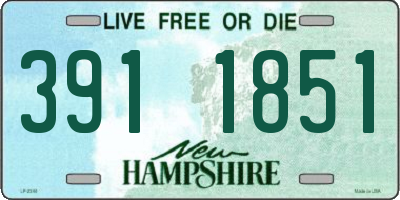 NH license plate 3911851