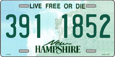 NH license plate 3911852