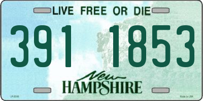 NH license plate 3911853