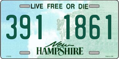 NH license plate 3911861