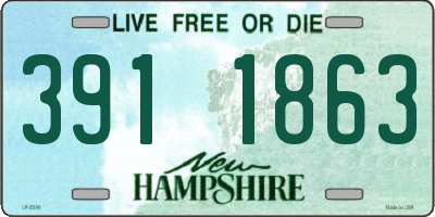 NH license plate 3911863