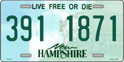 NH license plate 3911871