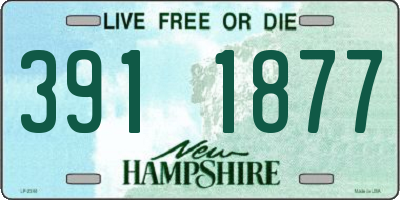 NH license plate 3911877