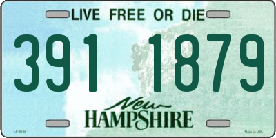 NH license plate 3911879