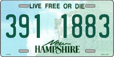 NH license plate 3911883