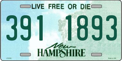 NH license plate 3911893