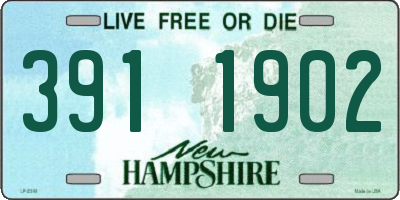 NH license plate 3911902