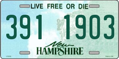 NH license plate 3911903