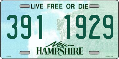 NH license plate 3911929