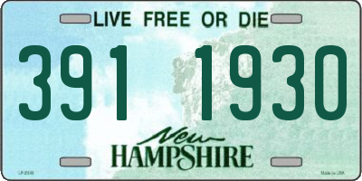 NH license plate 3911930