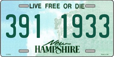 NH license plate 3911933