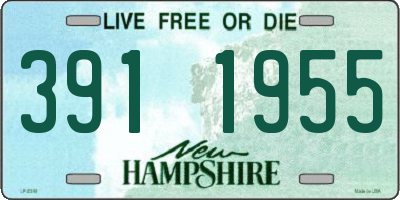 NH license plate 3911955