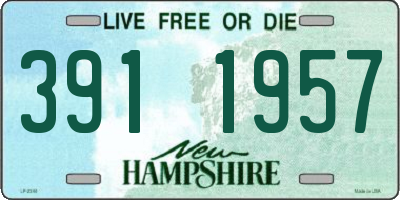 NH license plate 3911957