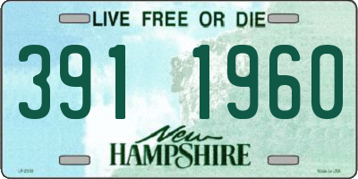 NH license plate 3911960