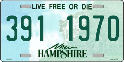NH license plate 3911970