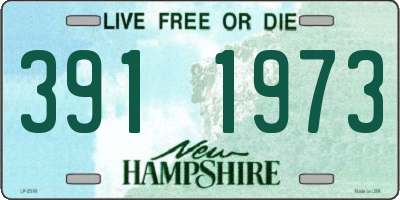 NH license plate 3911973