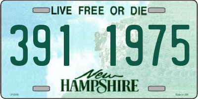 NH license plate 3911975