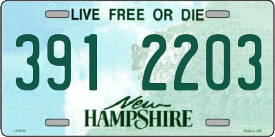 NH license plate 3912203
