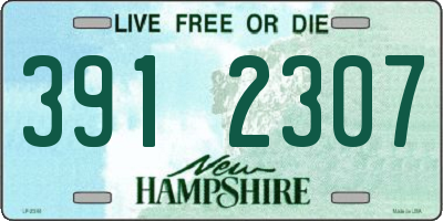 NH license plate 3912307