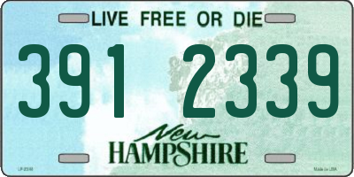 NH license plate 3912339