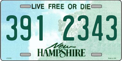 NH license plate 3912343