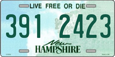 NH license plate 3912423