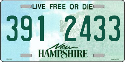 NH license plate 3912433