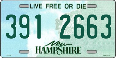 NH license plate 3912663