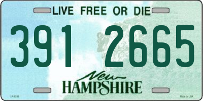 NH license plate 3912665