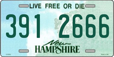 NH license plate 3912666