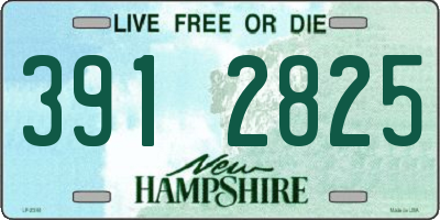 NH license plate 3912825