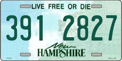 NH license plate 3912827