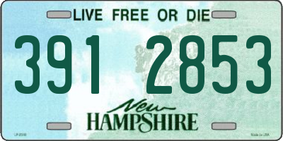 NH license plate 3912853