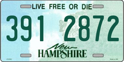 NH license plate 3912872