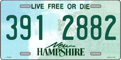 NH license plate 3912882