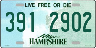 NH license plate 3912902
