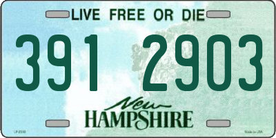 NH license plate 3912903