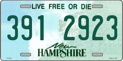 NH license plate 3912923